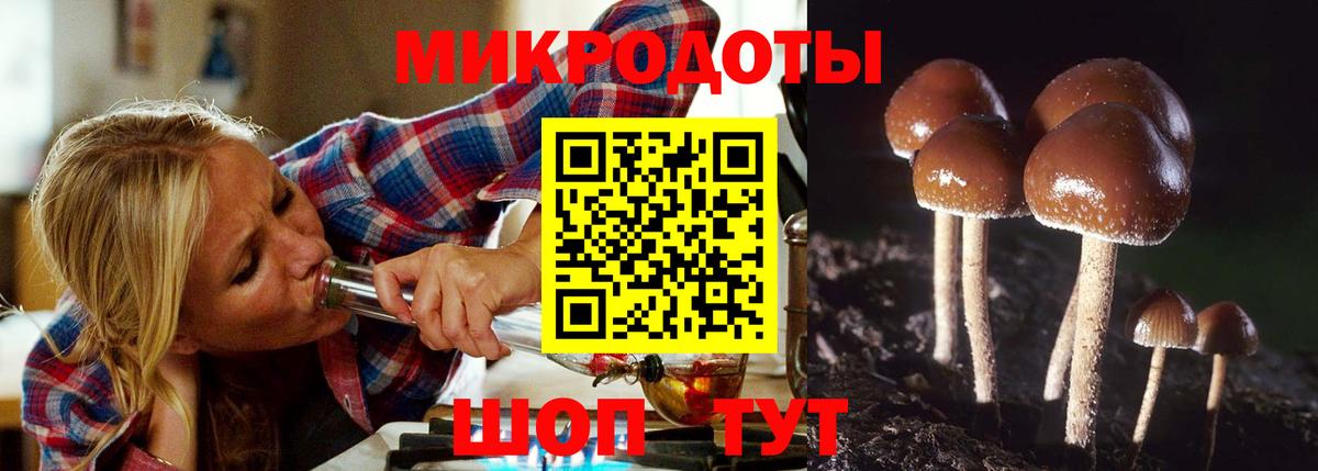 Кисловодск  Галлюциногенные грибы ЛСД  Вход с VPN 